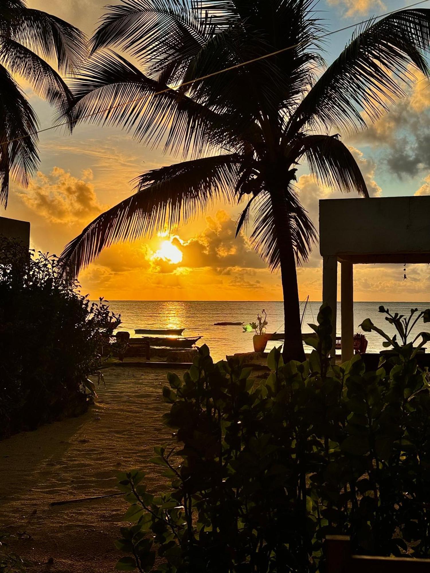 Mango Beach House Jambiani  Bagian luar foto