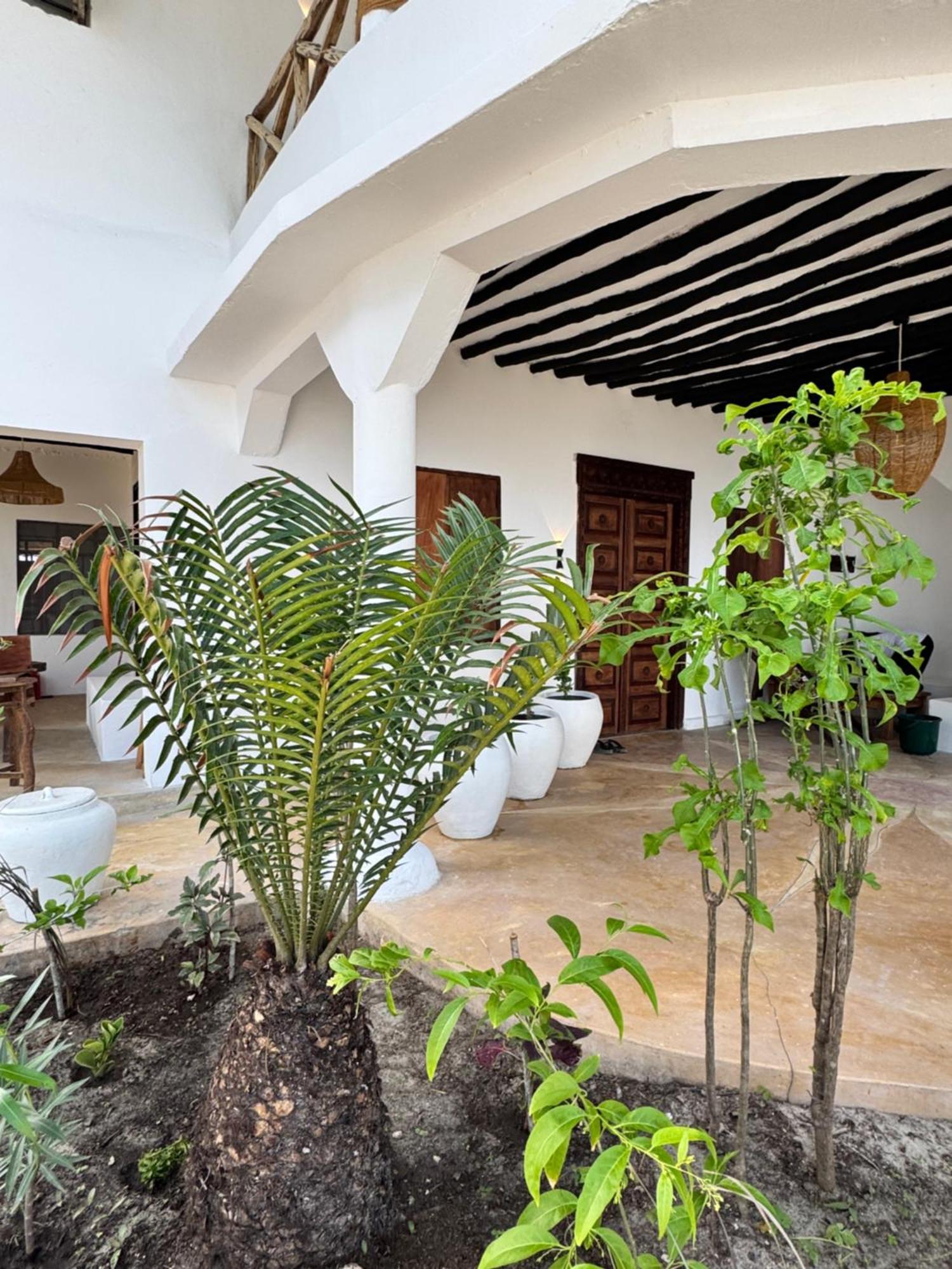 Mango Beach House Jambiani  Bagian luar foto